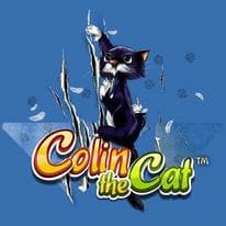 Colin The Cat